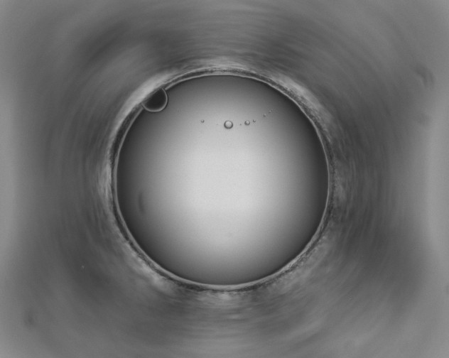 X0000112891286200908211446
