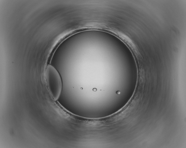 X0000112891288200908211446