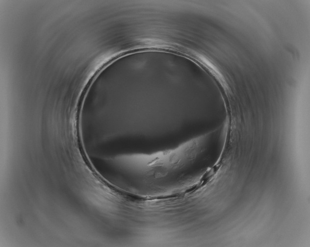 X0000112891291200908211445