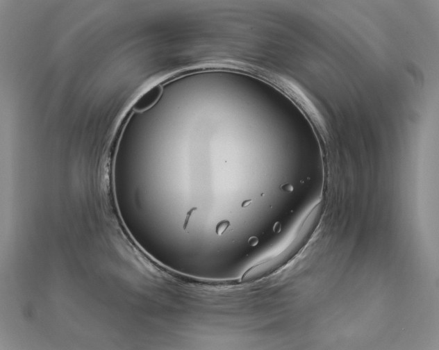 X0000112891292200908211445