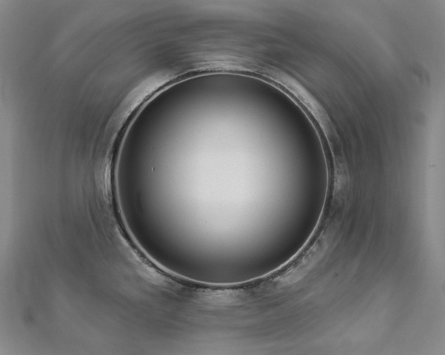 X0000112891293200908211445
