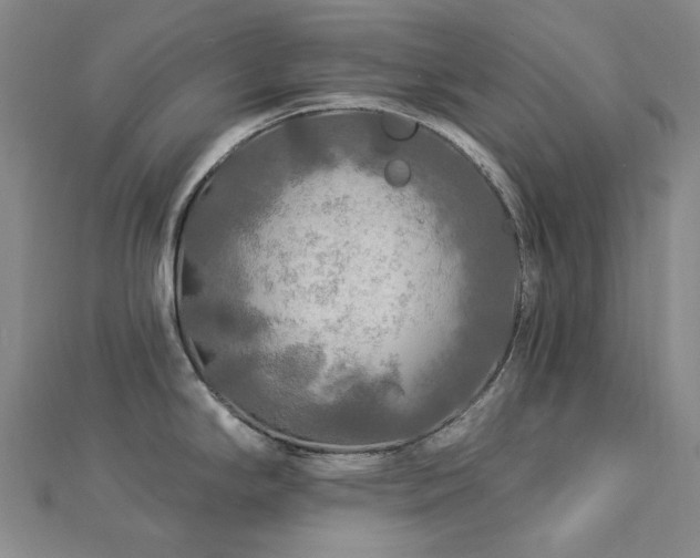 X0000112891294200908211445