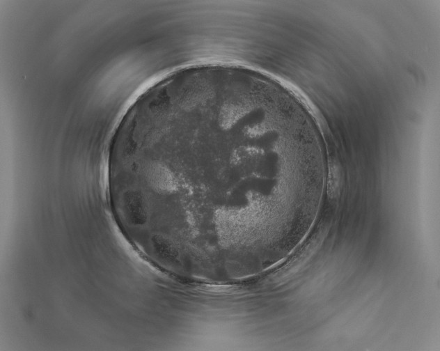 X0000112891295200908211445
