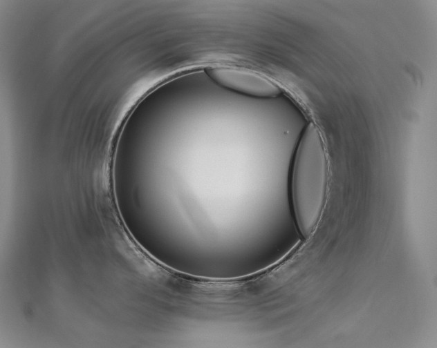 X0000112891296200908211445