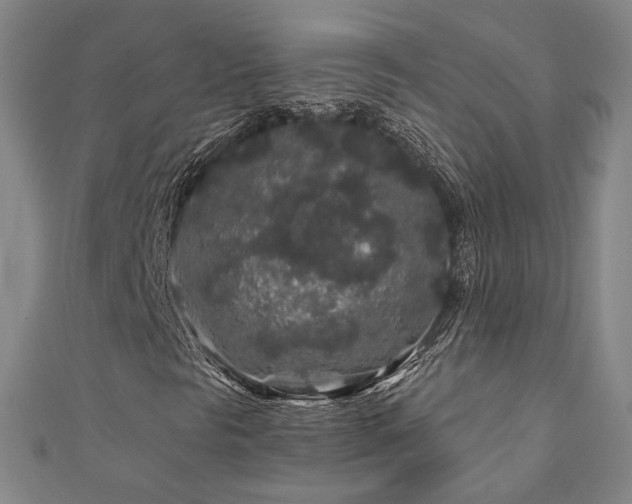 X0000112891297200908211445
