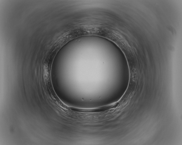 X0000112891298200908211445