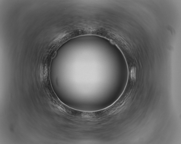 X0000112891299200908211445