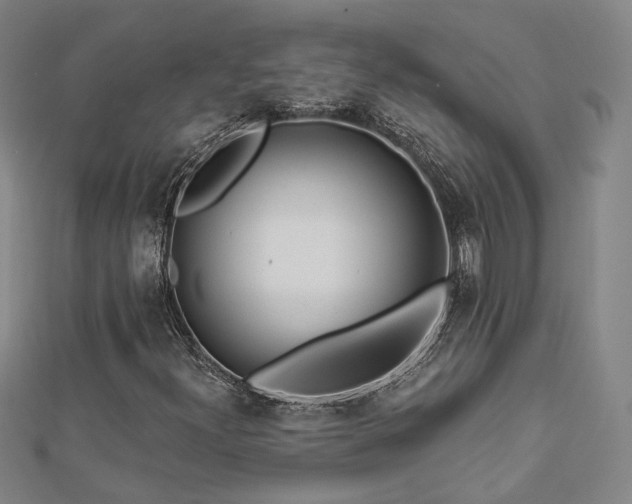 X0000112891300200908211445