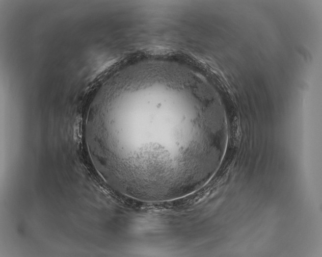 X0000112891301200908211445
