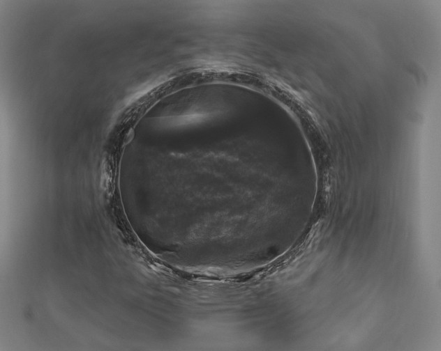 X0000112891303200908211445