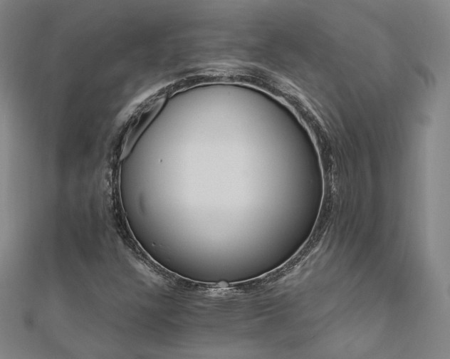 X0000112891304200908211445