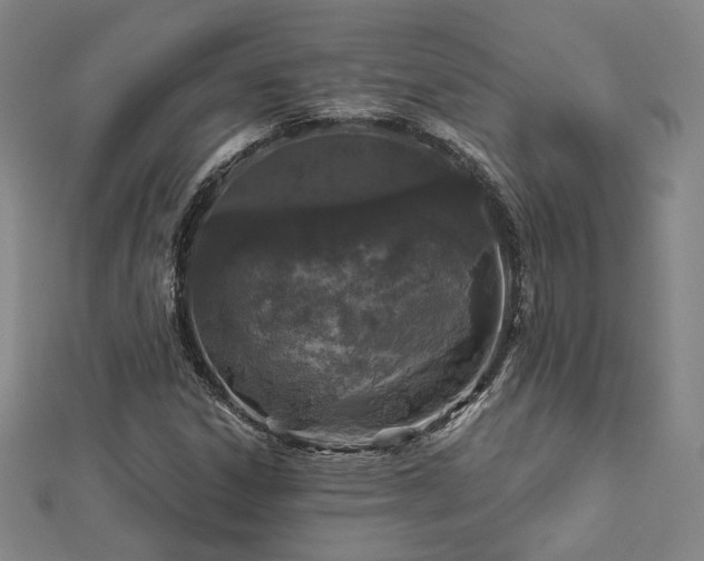 X0000112891306200908211445