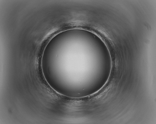 X0000112891309200908211445