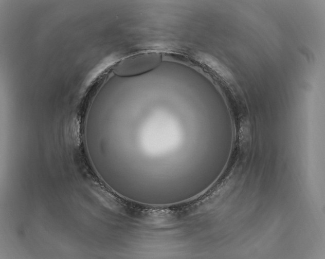 X0000112891310200908211445