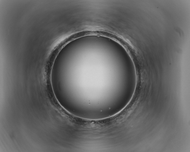 X0000112891311200908211445