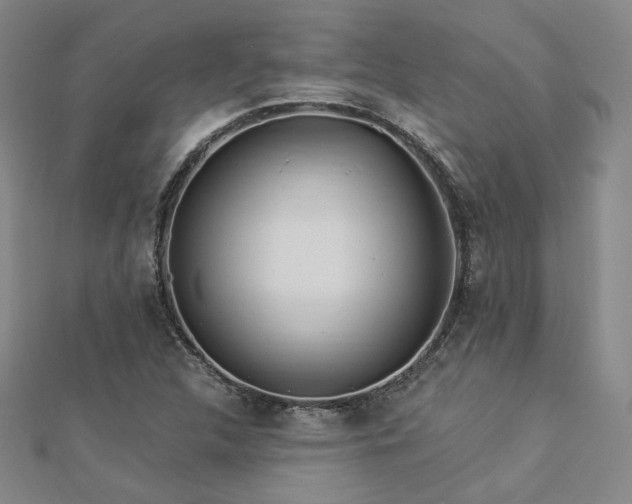 X0000112891312200908211445