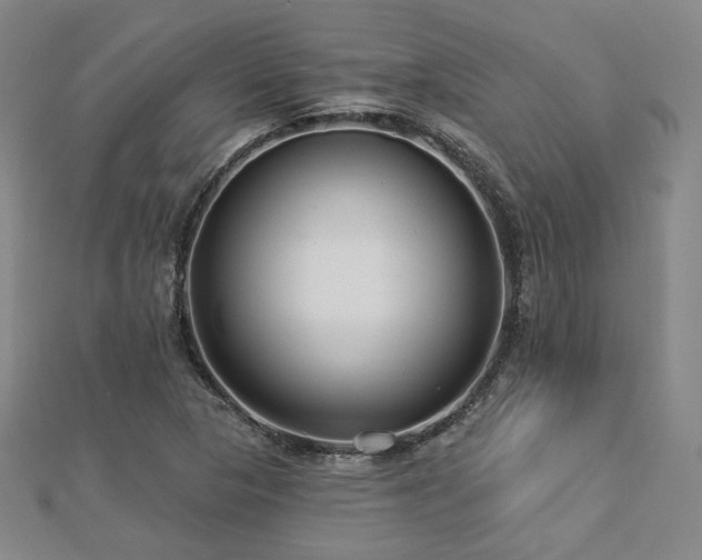X0000112891313200908211445