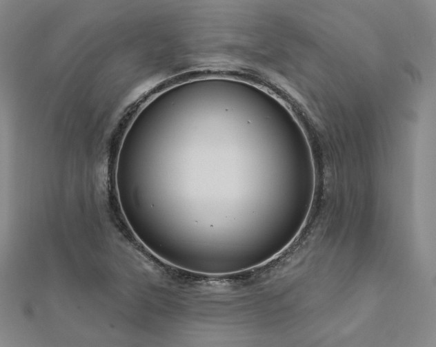X0000112891315200908211445
