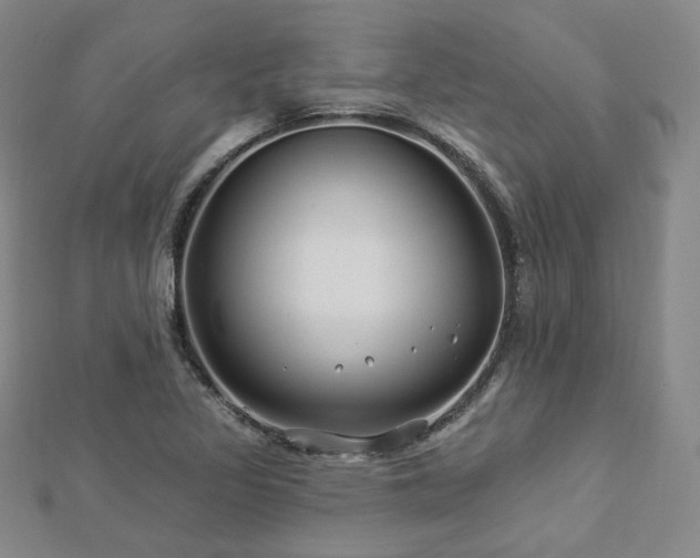 X0000112891317200908211445