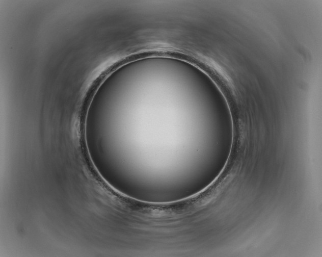X0000112891318200908211445