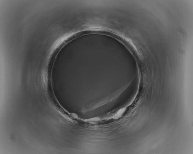 X0000112891319200908211445