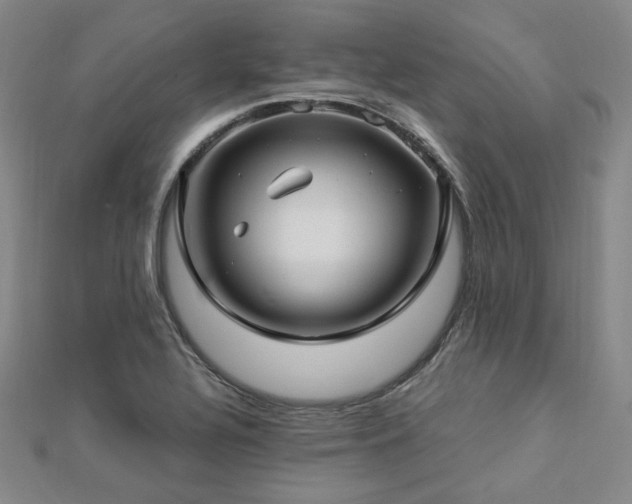 X0000112891320200908211445