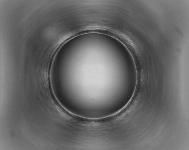 X0000112891321200908211445