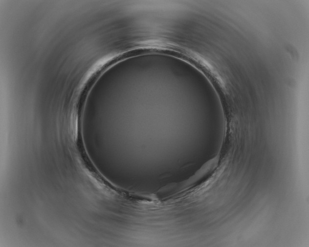 X0000112891323200908211445