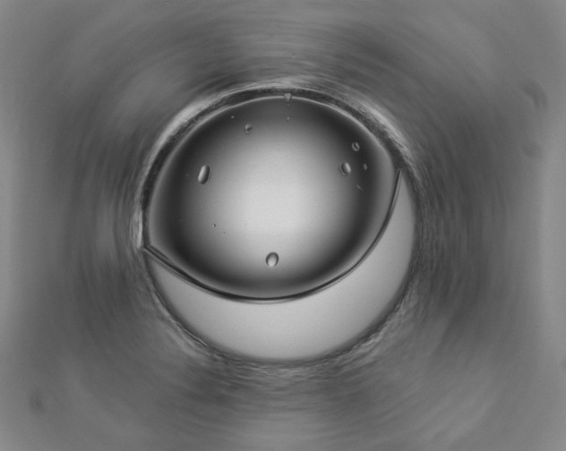 X0000112891324200908211445