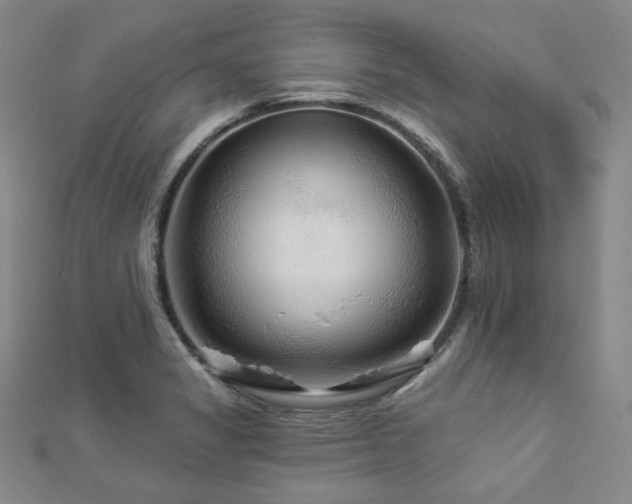 X0000112891325200908211445
