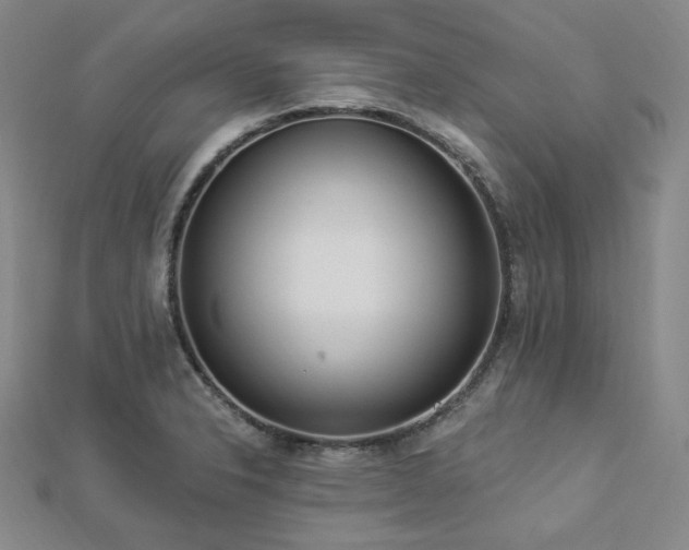 X0000112891326200908211445