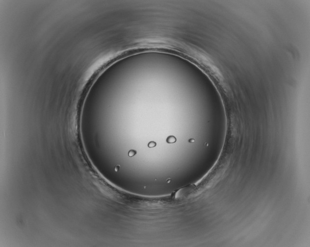 X0000112891328200908211445