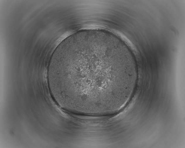 X0000112891329200908211445