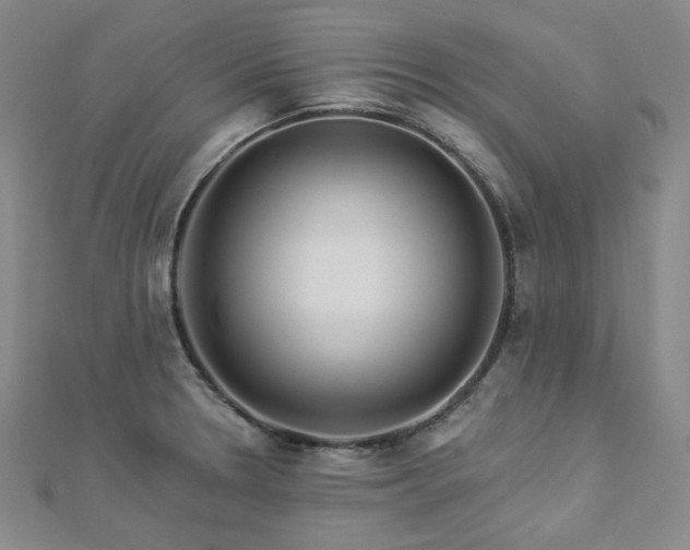 X0000112891330200908211445