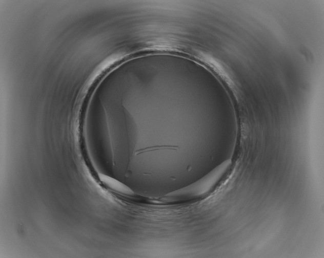 X0000112891331200908211445