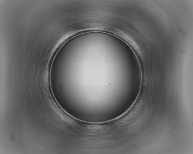 X0000112891332200908211445