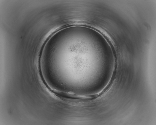 X0000112891333200908211445