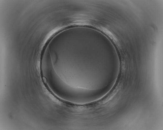 X0000112891334200908211445