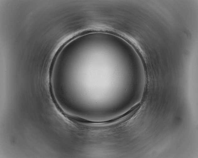 X0000112891335200908211445