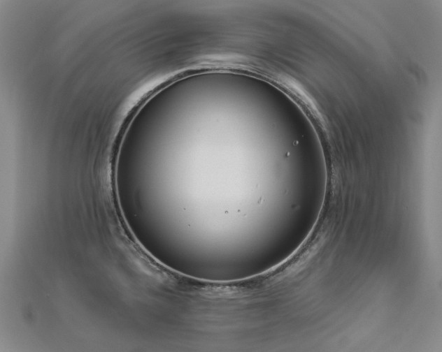 X0000112891336200908211445