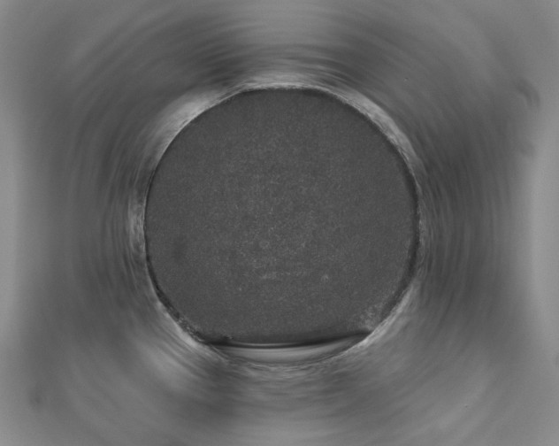 X0000112891337200908211445