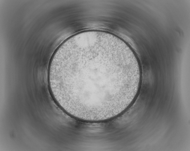 X0000112891338200908211445