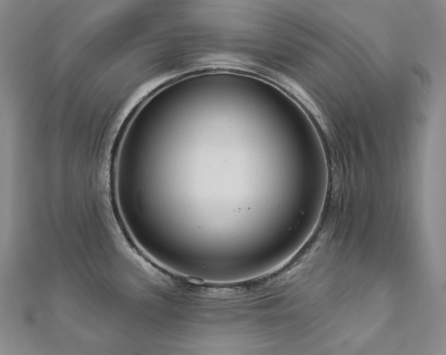 X0000112891339200908211445