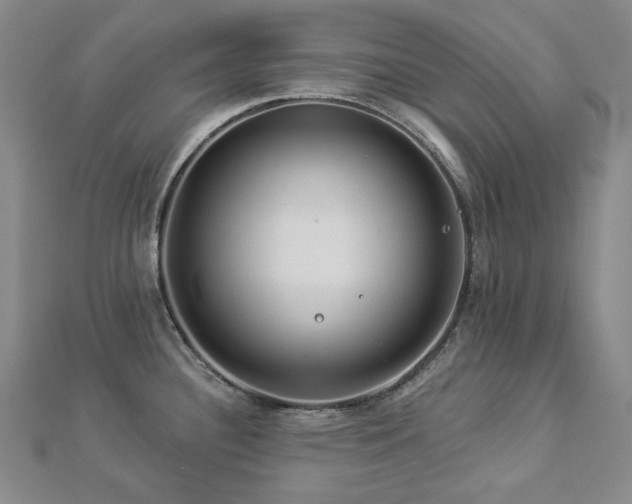 X0000112891340200908211445