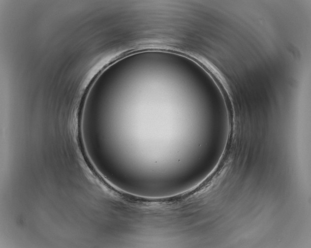 X0000112891341200908211445
