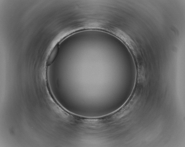 X0000112891342200908211445