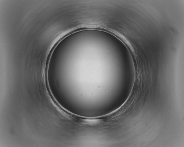 X0000112891343200908211445