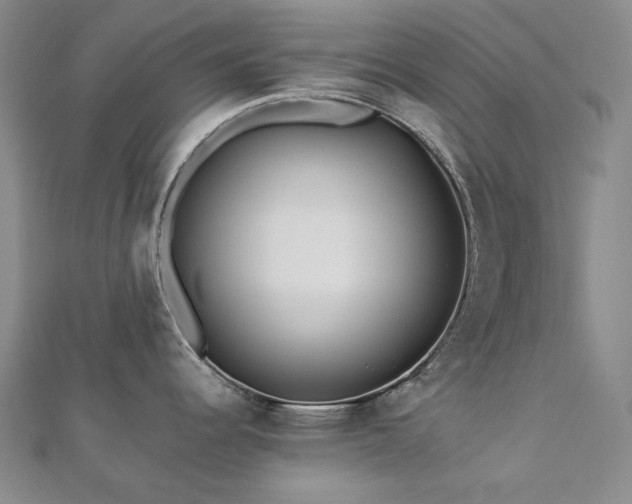 X0000112891344200908211445