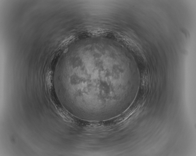 X0000112891346200908211445
