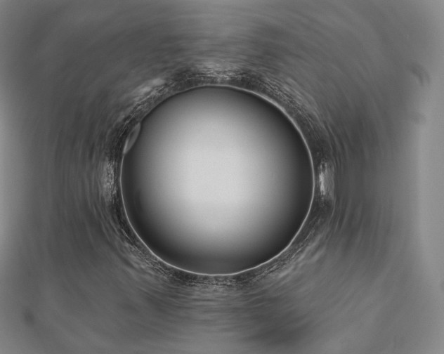 X0000112891347200908211445